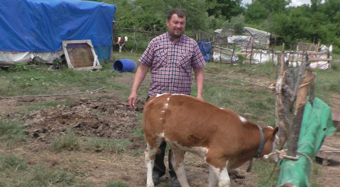 Çalıntı kamyonetle, hayvan çaldılar