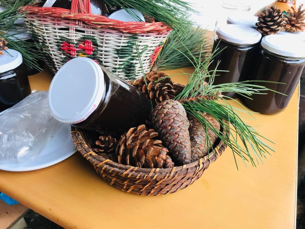 Kazdağları’ndan topladığı çam kozalaklarıyla KOAH hastası eşini tedavi etti