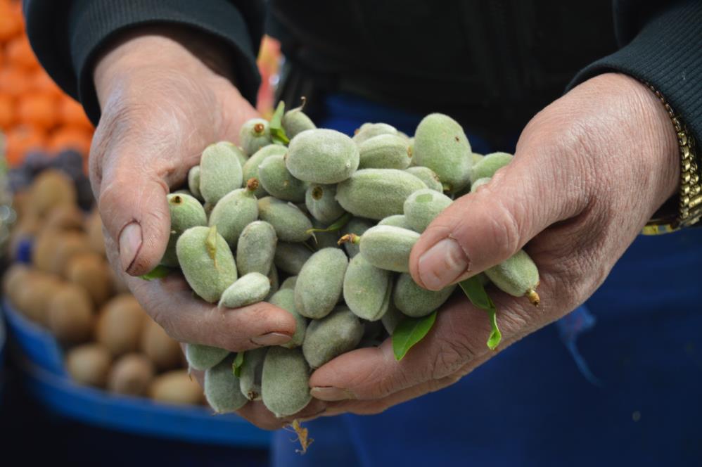 Çağla sezonu 50 TL'den açtı