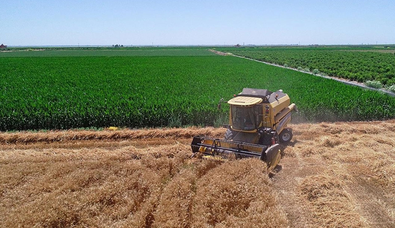 Çiftçinin yüzü gülüyor: Gübre ve yem fiyatları düştü