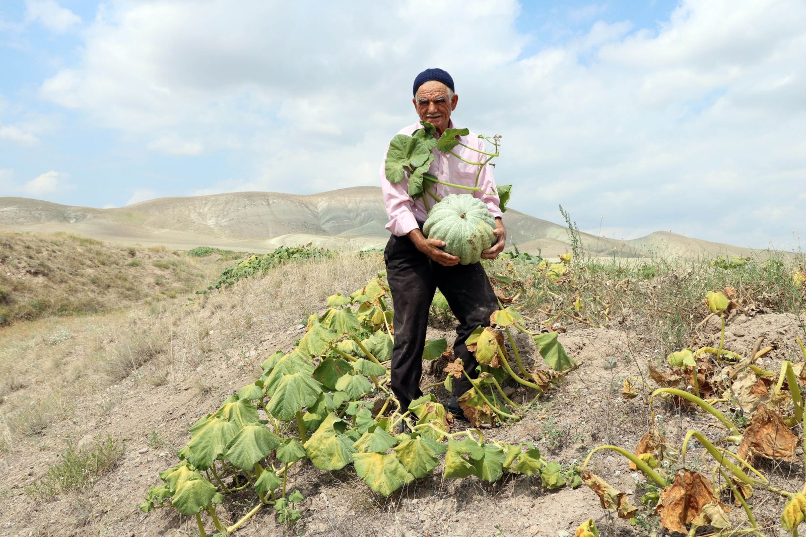 Görenler hayrete kapılıyor... Su ve gübre kullanmadan kıraç toprakta ürün yetiştiriyor