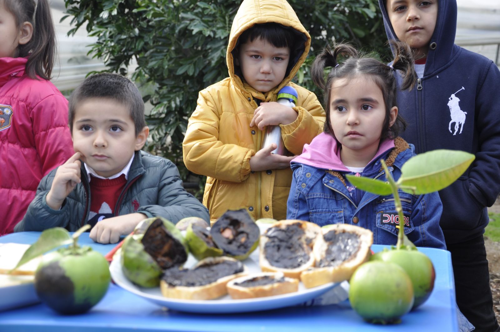 Dalından çikolata toplayıp ekmeğe sürüp yediler