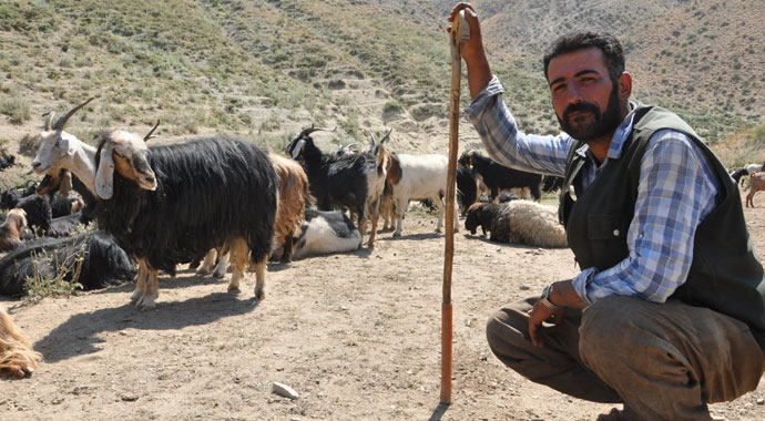 İran’dan gelip 3 bin 200 TL karşılığında çobanlık yapıyor