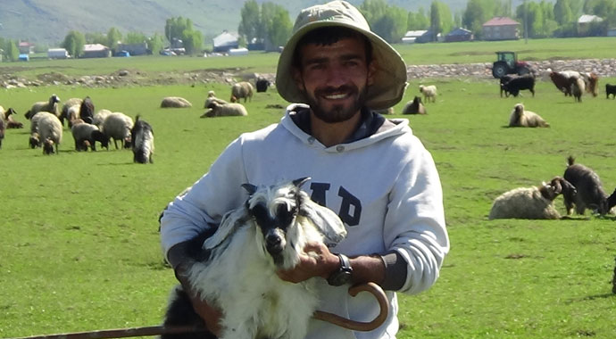 Çobanların zorlu Ramazan mesaisi