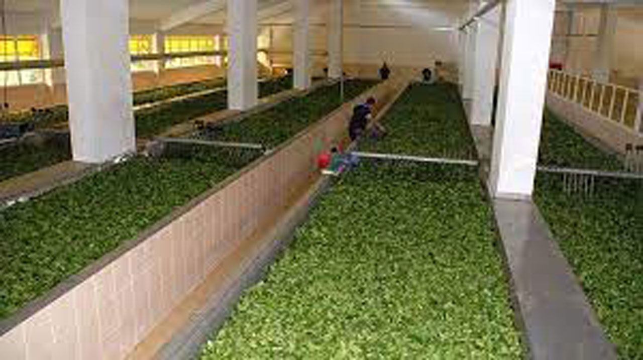 Çaykur, patlamayla ilgili soruşturma başlatıldığını duyurdu