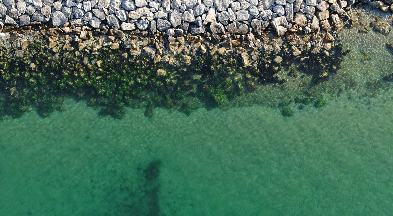 İstanbul sahilleri müsilajdan arındı! Yeni tehlike 'oksijen azlığı'