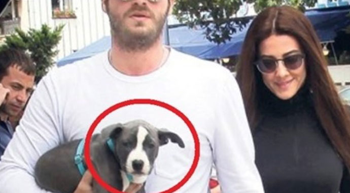 Kıvanç Tatlıtuğ köpeğinin kulağını kestiği iddialarına ateş püskürdü