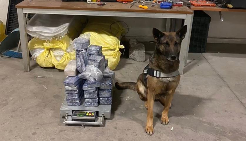 Şırnak'ta bir arabadan 31 kilo eroin çıktı