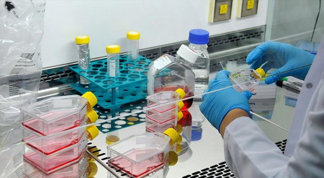 &#039;Milli kanser ilacımızı üreteceğiz&#039;