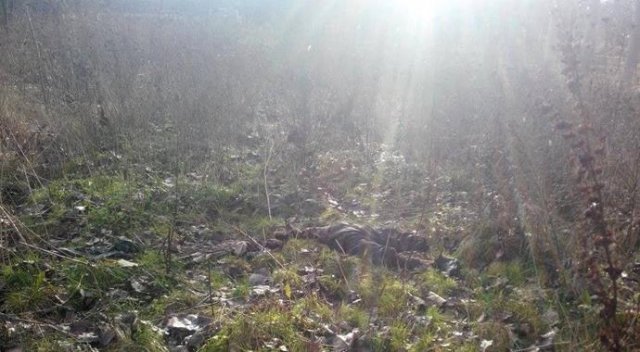 Cesedi 80 gün sonra bulundu Cesedi 80 gün sonra bulundu