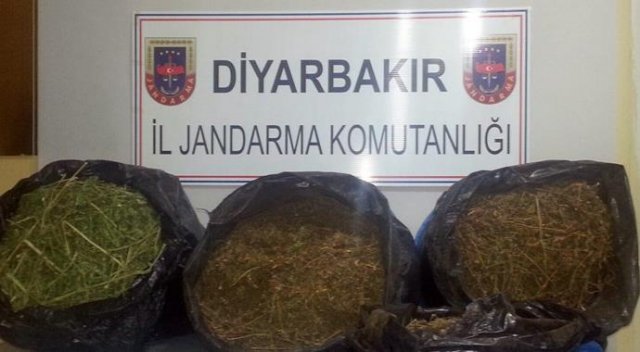 Diyarbakır'da 42 kilo esrar ele geçirildi Diyarbakır'da 42 kilo esrar ele geçirildi