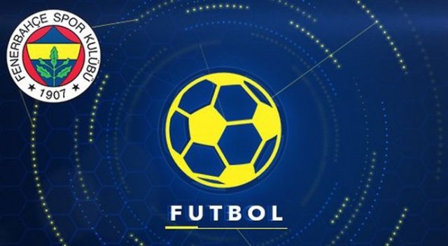 Fenerbahçe’de Diego şoku Fenerbahçe’de Diego şoku