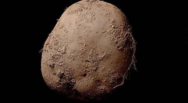 Bu patates fotoğrafı bir milyon dolara satıldı Bu patates fotoğrafı bir milyon dolara satıldı