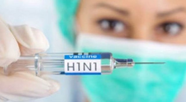 Kayseri'de domuz gribi şüphesi Kayseri'de domuz gribi şüphesi