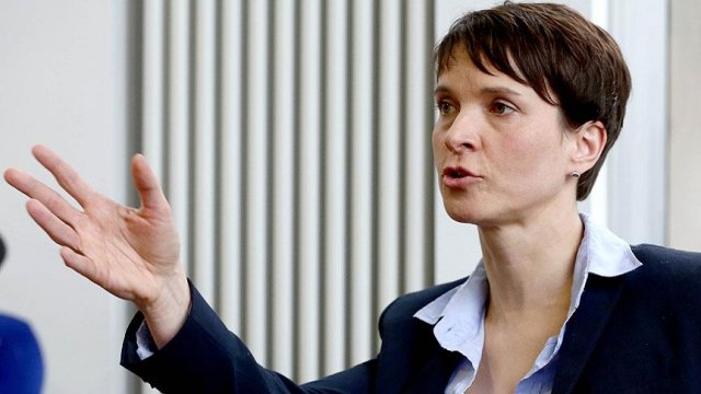 AfD Başkanı Petry Almanya&#039;daki olaylardan sığınmacıları sorumlu tuttu