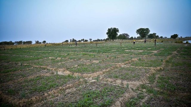 'Afrika, gıda ihtiyacının yüzde 83'ünü ithal ediyor'