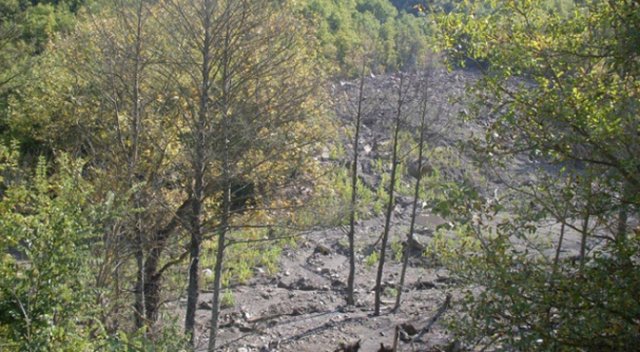 Bursa'da ormanlık alanda 2 ceset bulundu! Bursa'da ormanlık alanda 2 ceset bulundu!