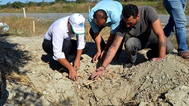 Çanakkale'de yeni "şehitlik" bulundu! Bir asır sonra ortaya çıktı