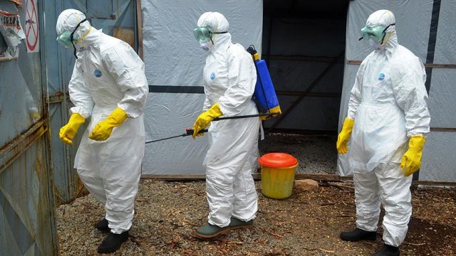 Gine'de Ebola virüsü kontrol altına alındı Gine'de Ebola virüsü kontrol altına alındı