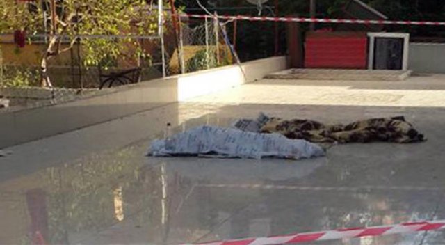 Alanya'da 2 çocuk 5. kattan düşerek öldü Alanya'da 2 çocuk 5. kattan düşerek öldü