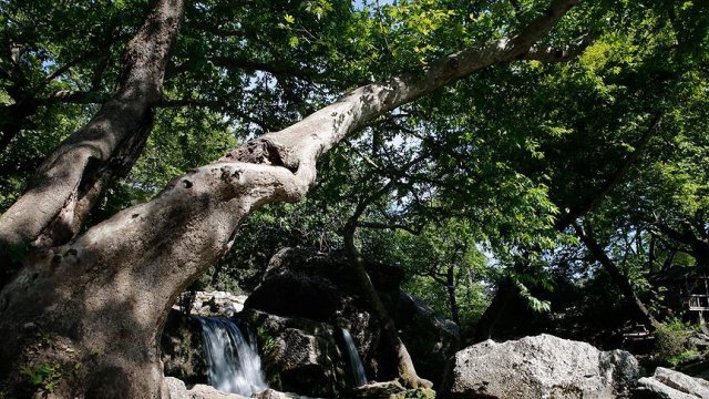 Anadolu &#039;doğal park&#039; zengini