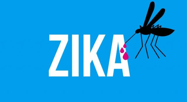 İspanya’da 'zika virüsü' paniği İspanya’da 'zika virüsü' paniği