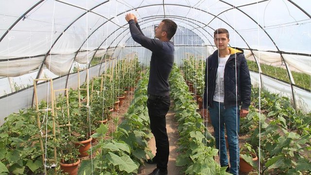 Öğrenciler hem öğreniyor hem para kazanıyor Öğrenciler hem öğreniyor hem para kazanıyor