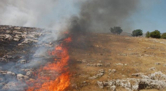 Adıyaman&#039;da orman yangınları sürüyor