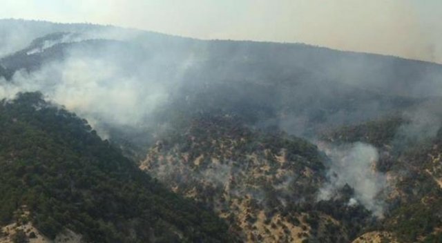 Ankara'da büyük yangın Ankara'da büyük yangın