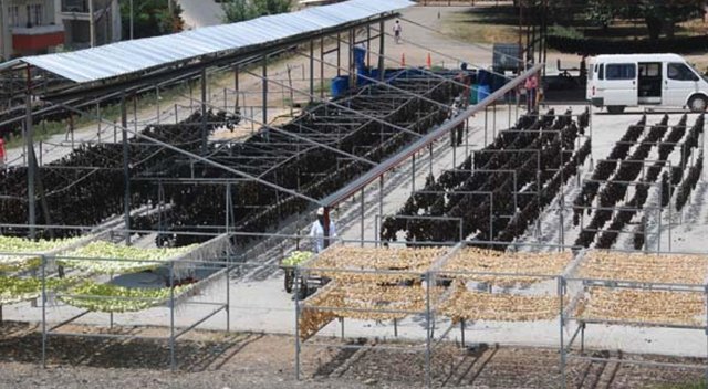 Bütün mahalle toplanıp dünyaya satıyor Bütün mahalle toplanıp dünyaya satıyor