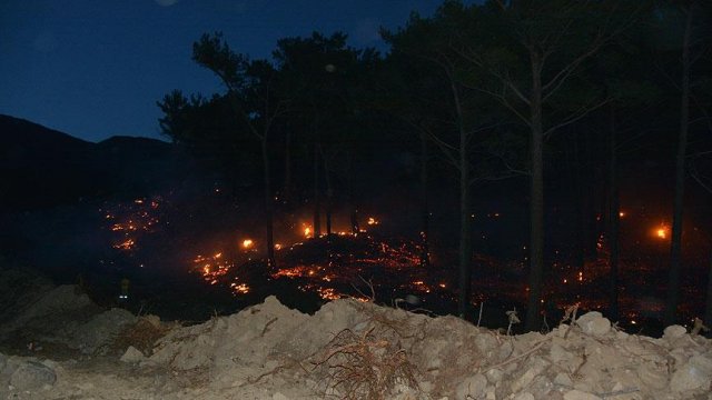Kaz Dağları&#039;nda orman yangını