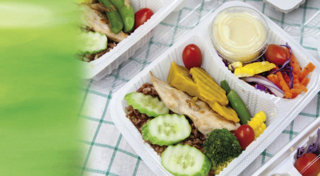 Plastikte kısırlık ve obezite riski Plastikte kısırlık ve obezite riski