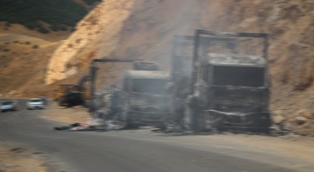 Teröristler Bingöl'de iki aracı yaktı