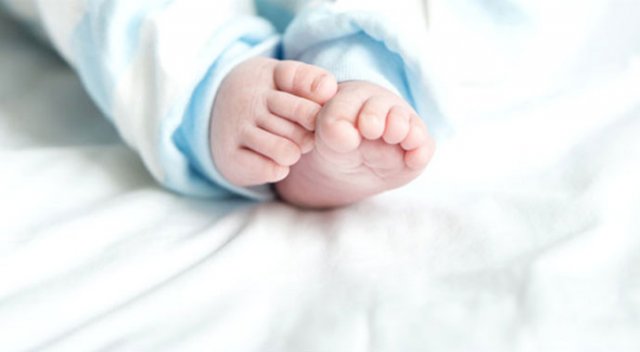 Tuvaletten döndüğünde neredeyse aklını yitirecekti!