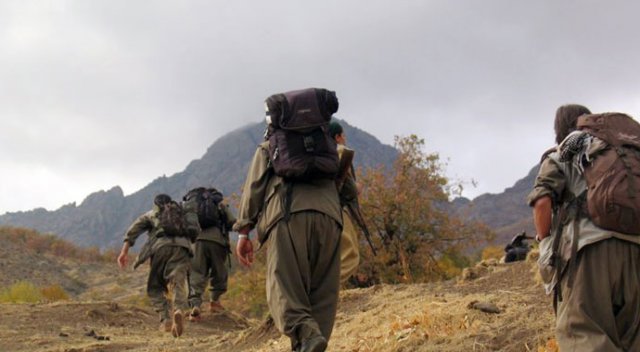 2 PKK'lı terörist yakalandı 2 PKK'lı terörist yakalandı