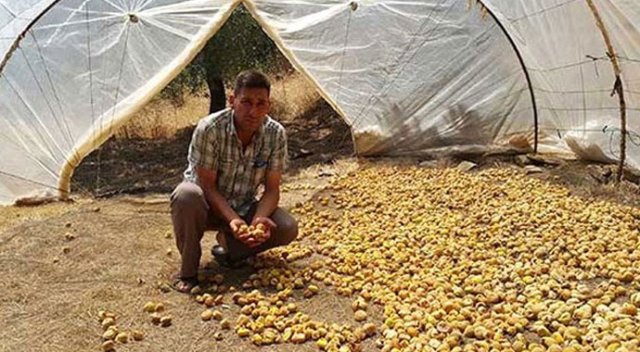 5 bin lira maaş ile çalışmak isteyen herkesi davet ediyorlar! 5 bin lira maaş ile çalışmak isteyen herkesi davet ediyorlar!