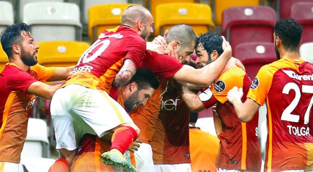 Aslan çok rahat Aslan çok rahat