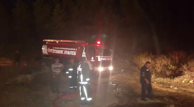 Aydos Ormanı&#039;nda korkutan yangın