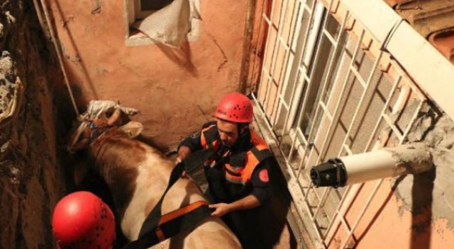 Bayramın ilk olayı 'Mazlum' oldu Bayramın ilk olayı 'Mazlum' oldu