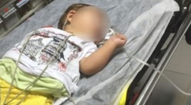 Bursa'da ‘8 aylık bebek bonzai komasına girdi’ iddiası Bursa'da ‘8 aylık bebek bonzai komasına girdi’ iddiası