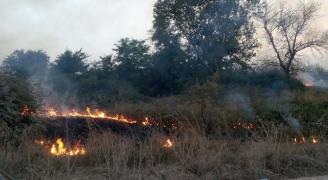 Bursa&#039;da korkutan yangın