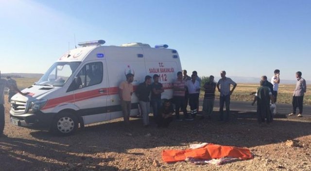 Diyabakır'da feci kaza: 1 ölü 2 yaralı Diyabakır'da feci kaza: 1 ölü 2 yaralı