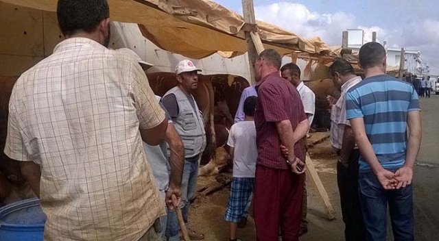 Fiyatı 2 bin TL düştü alan da satan da memnun Fiyatı 2 bin TL düştü alan da satan da memnun