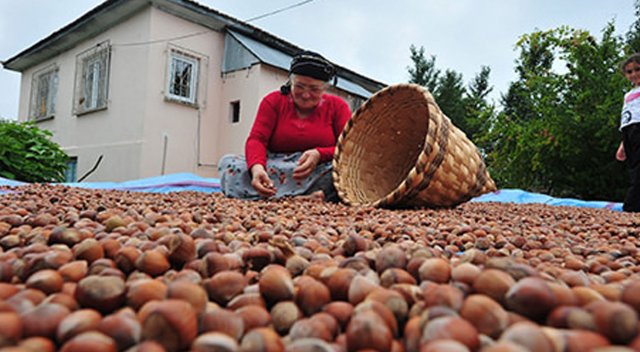 İhracatın yarısı Trabzon&#039;dan