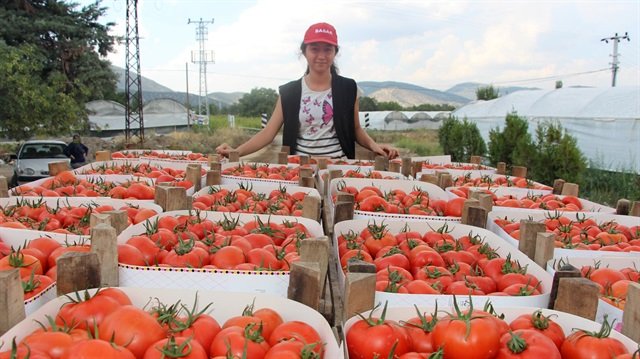 Isparta&#039;dan dünyaya milyon liralık ihracat