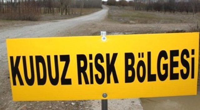Kuduz kurban alarmı: 104 kişi hastanede