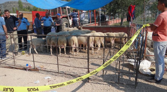 Kurban pazarında kavga, yaralılar var