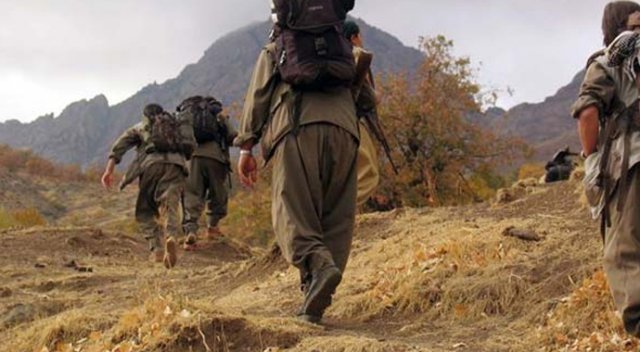 Mardin&#039;de 2 PKK&#039;lı öldürüldü