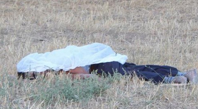 Sivas&#039;ta koyun yüzünden iki kardeşi öldürdü