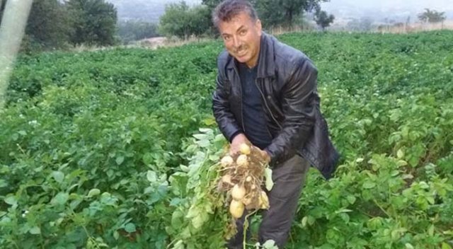 Türkiye'nin ilk “beyaz patates” hasadı yapılacak Türkiye'nin ilk “beyaz patates” hasadı yapılacak